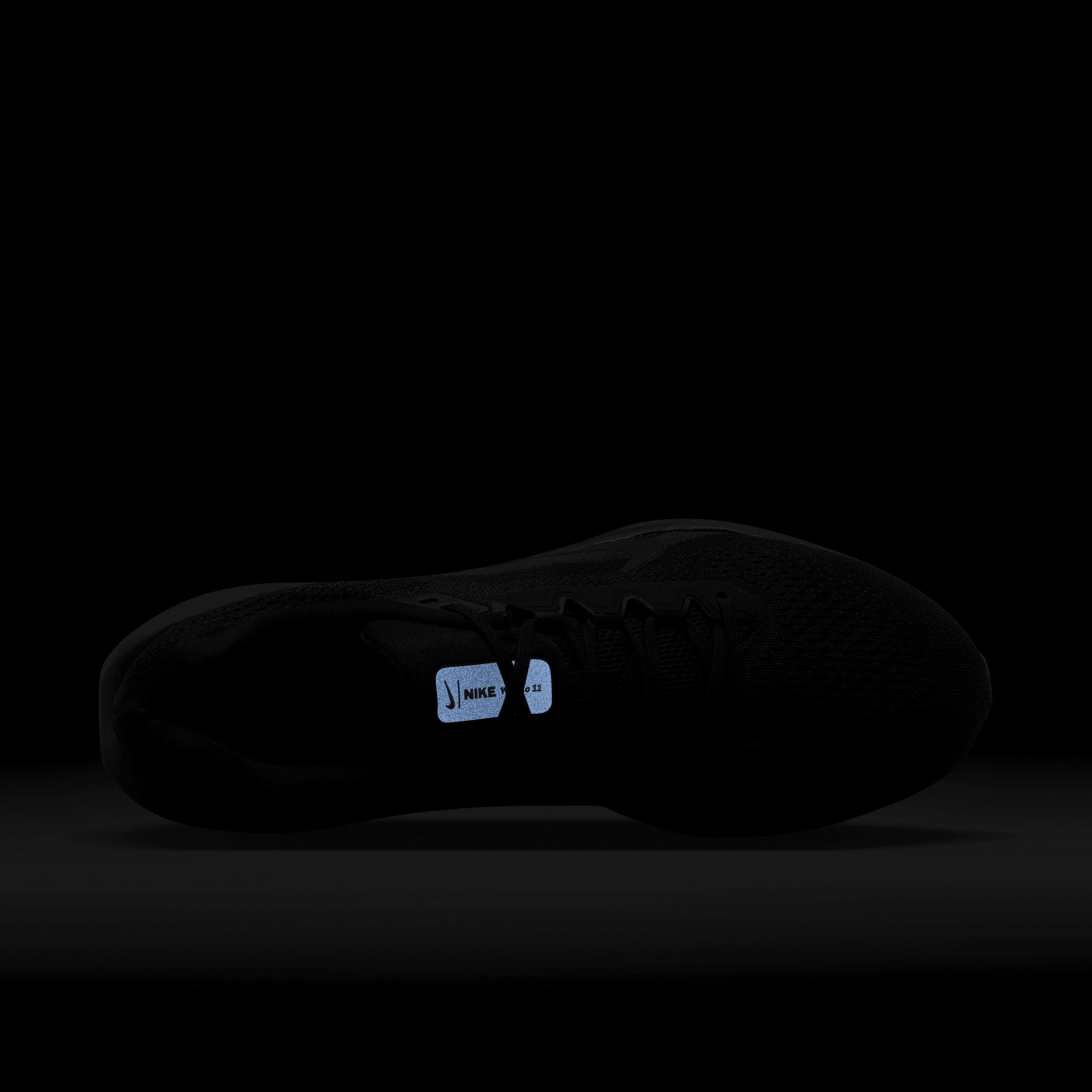 Nike Mens Winflo 11 Road Running Shoes | FJ9509-002 Product Image