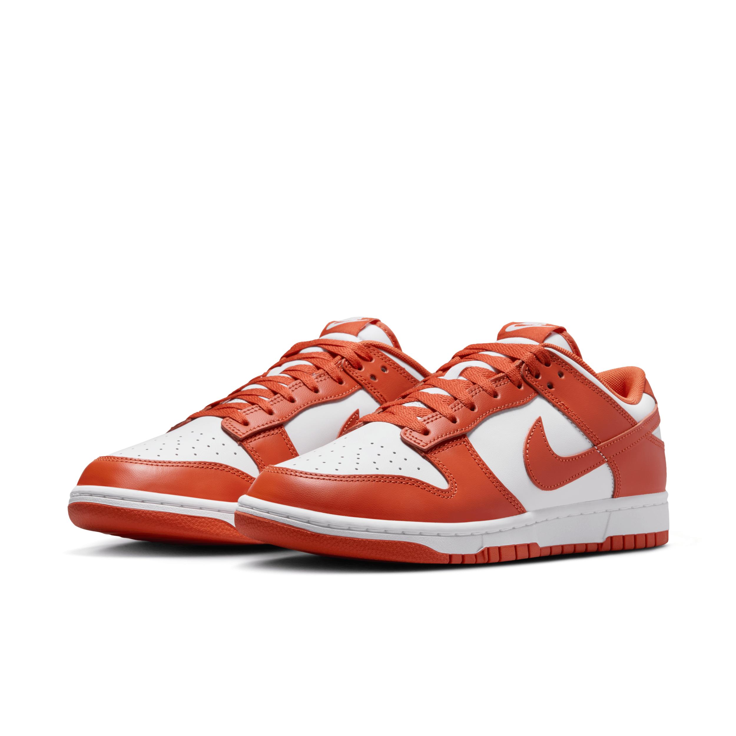 Nike Dunk Low Retro Men's Shoes Product Image
