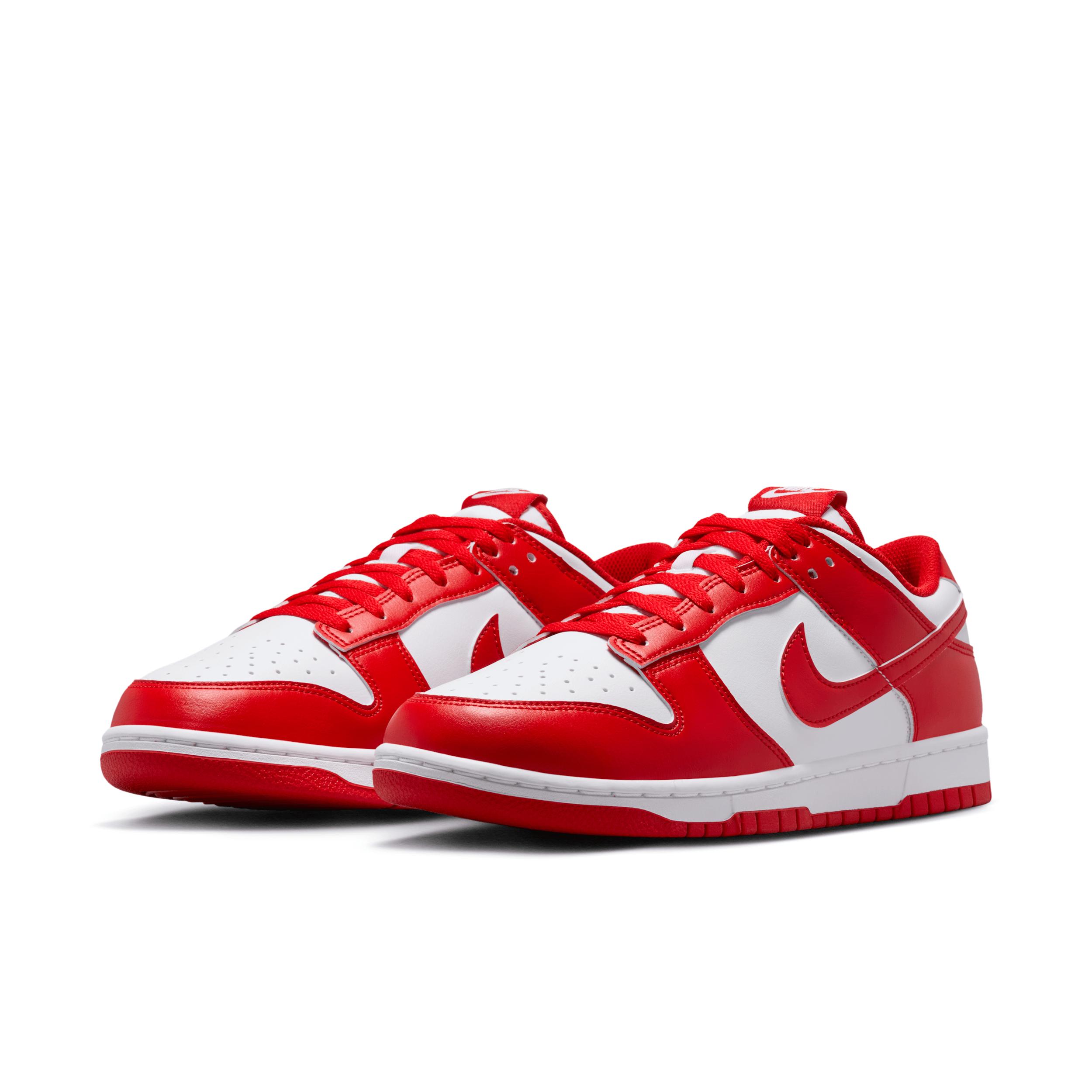 Nike Mens Dunk Low Retro Shoes | HF5441-104 Product Image