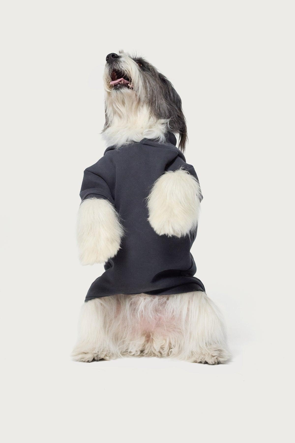 Bonney Bow Pet Hoodie Product Image