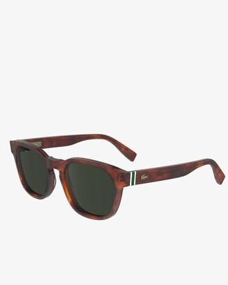 Neoheritage Oval Metal Glasses Product Image