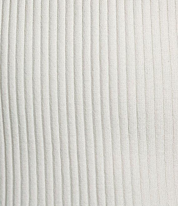 Antonio Melani Valentine Mesh Crew Neck Sleeveless Midi Dress Product Image