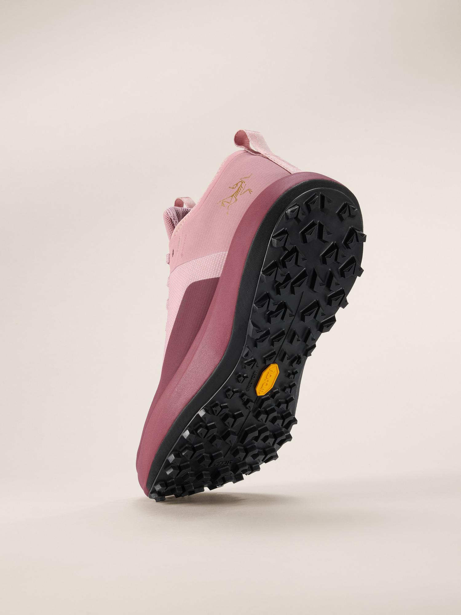 Sylan GTX Shoe Women's Product Image