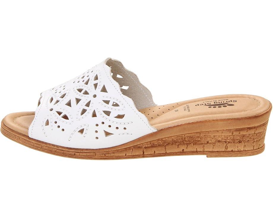 Montera Product Image