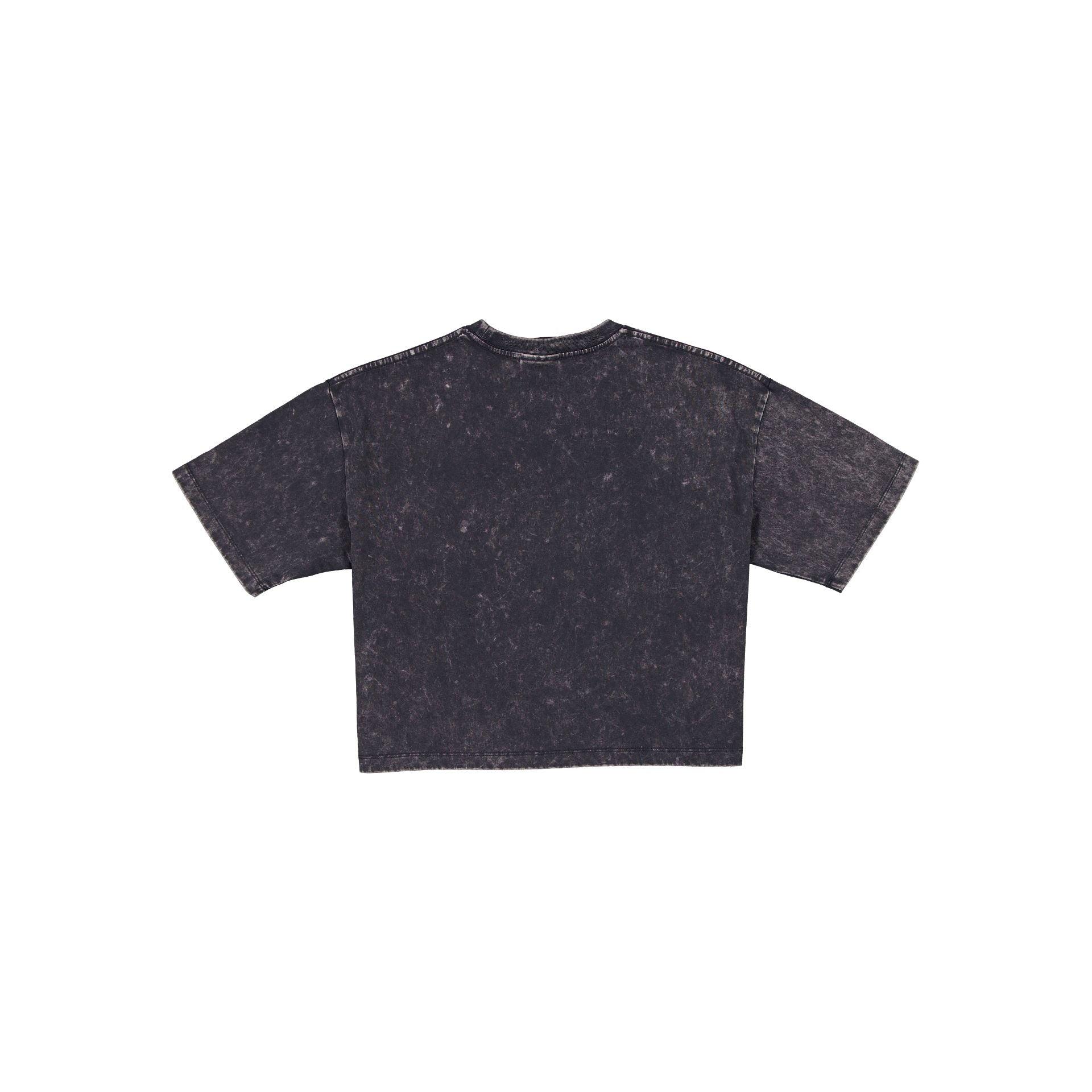 Pittsburgh Steelers Sport Classics Women's Cropped T-Shirt Female Product Image