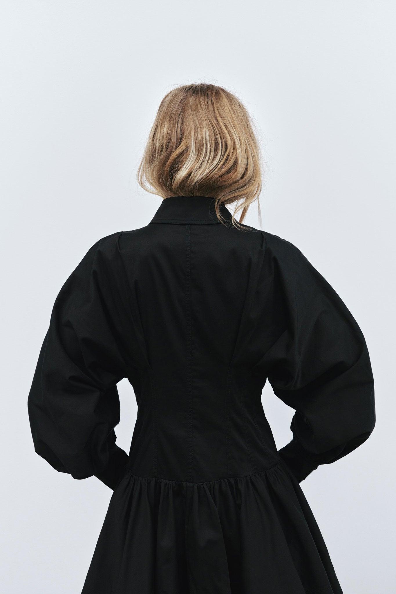 Alexa Long Sleeve Mini Dress Product Image