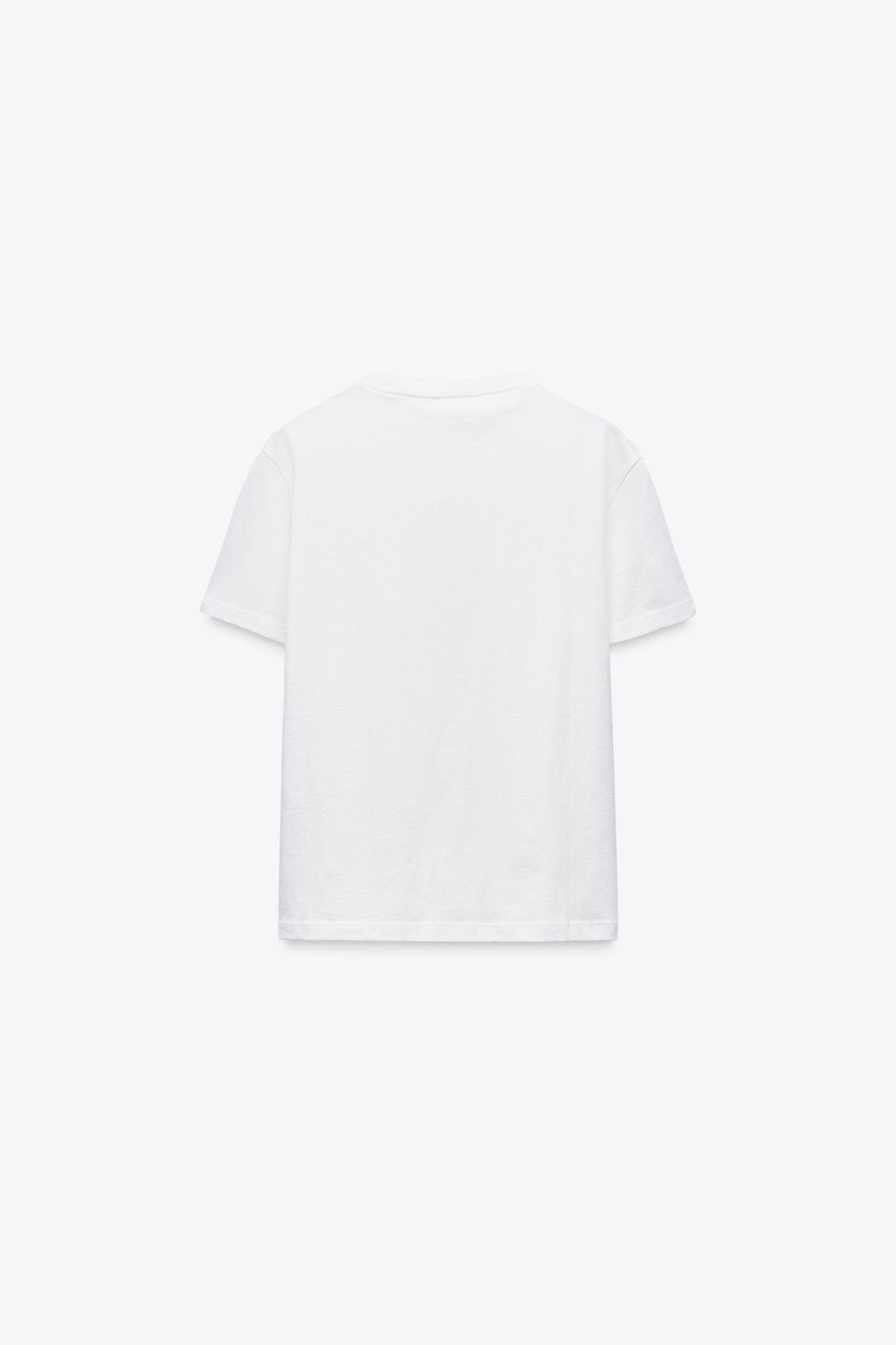 BASIC COTTON T-SHIRT Product Image