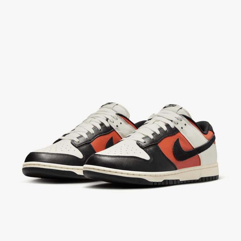 Nike Mens Dunk Low Retro SE Leather/Suede Shoes | FQ8249-101 Product Image