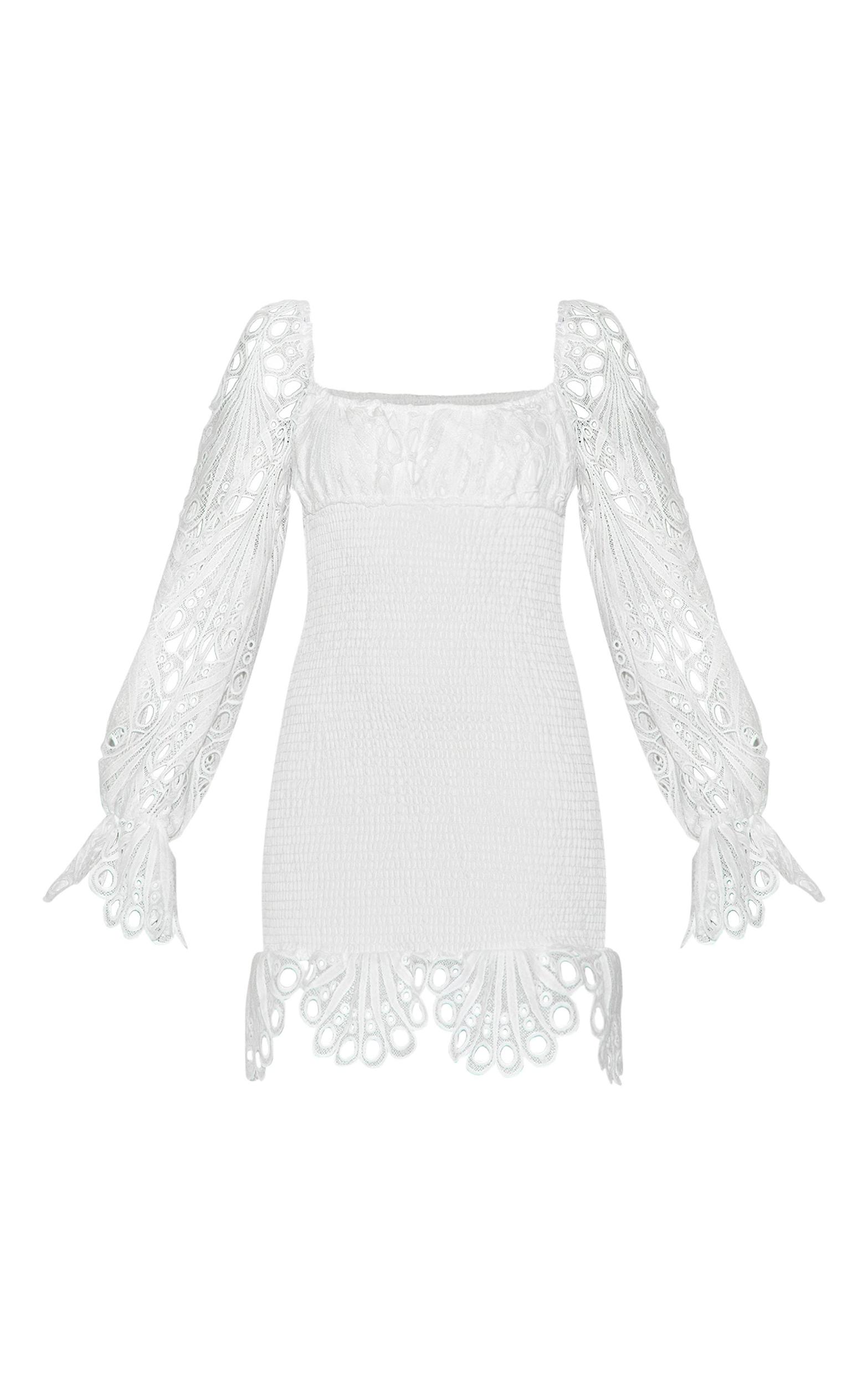 White Lace Sleeve Shirred Bodycon Dress Product Image