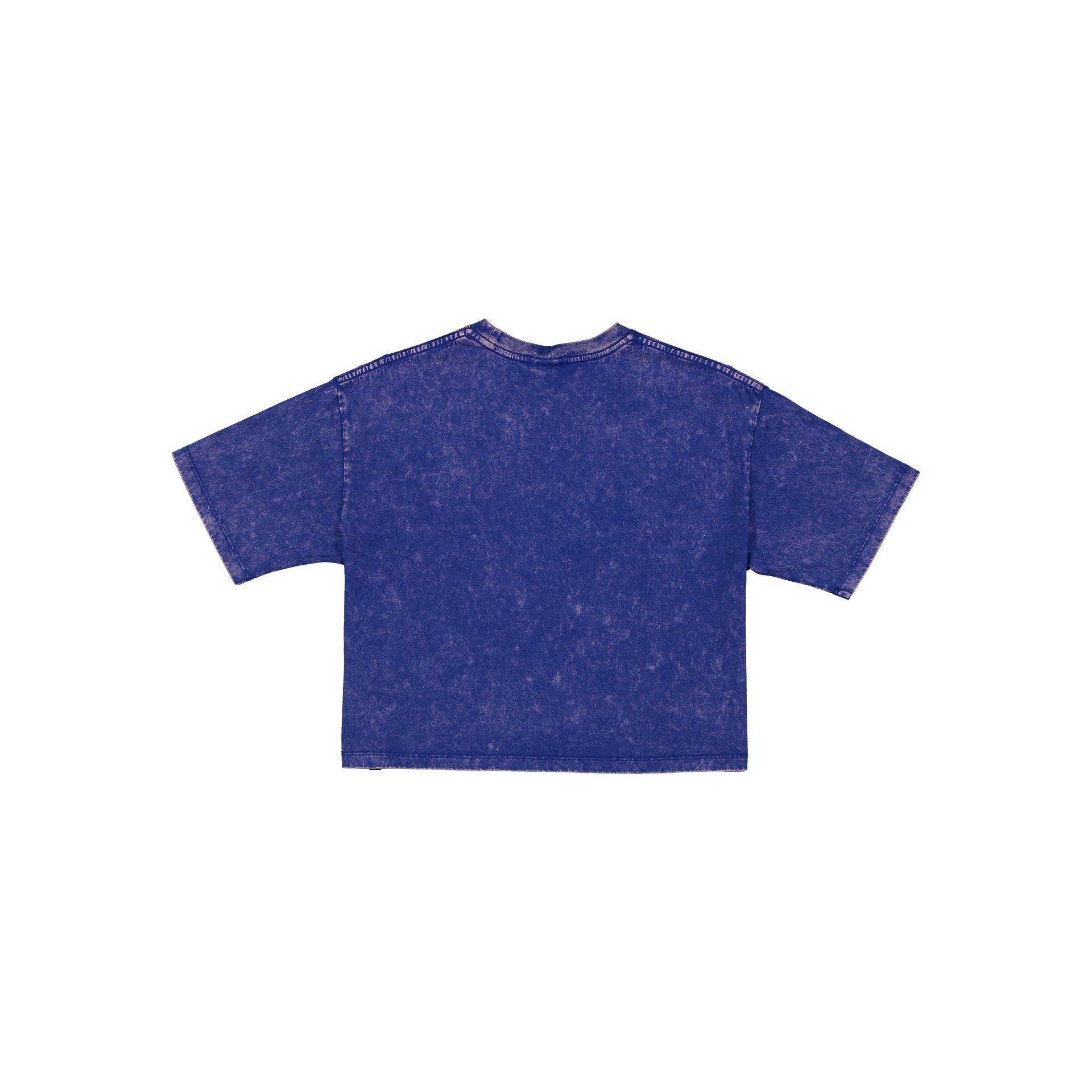 Pittsburgh Steelers Sport Classics Women's Cropped T-Shirt Female Product Image