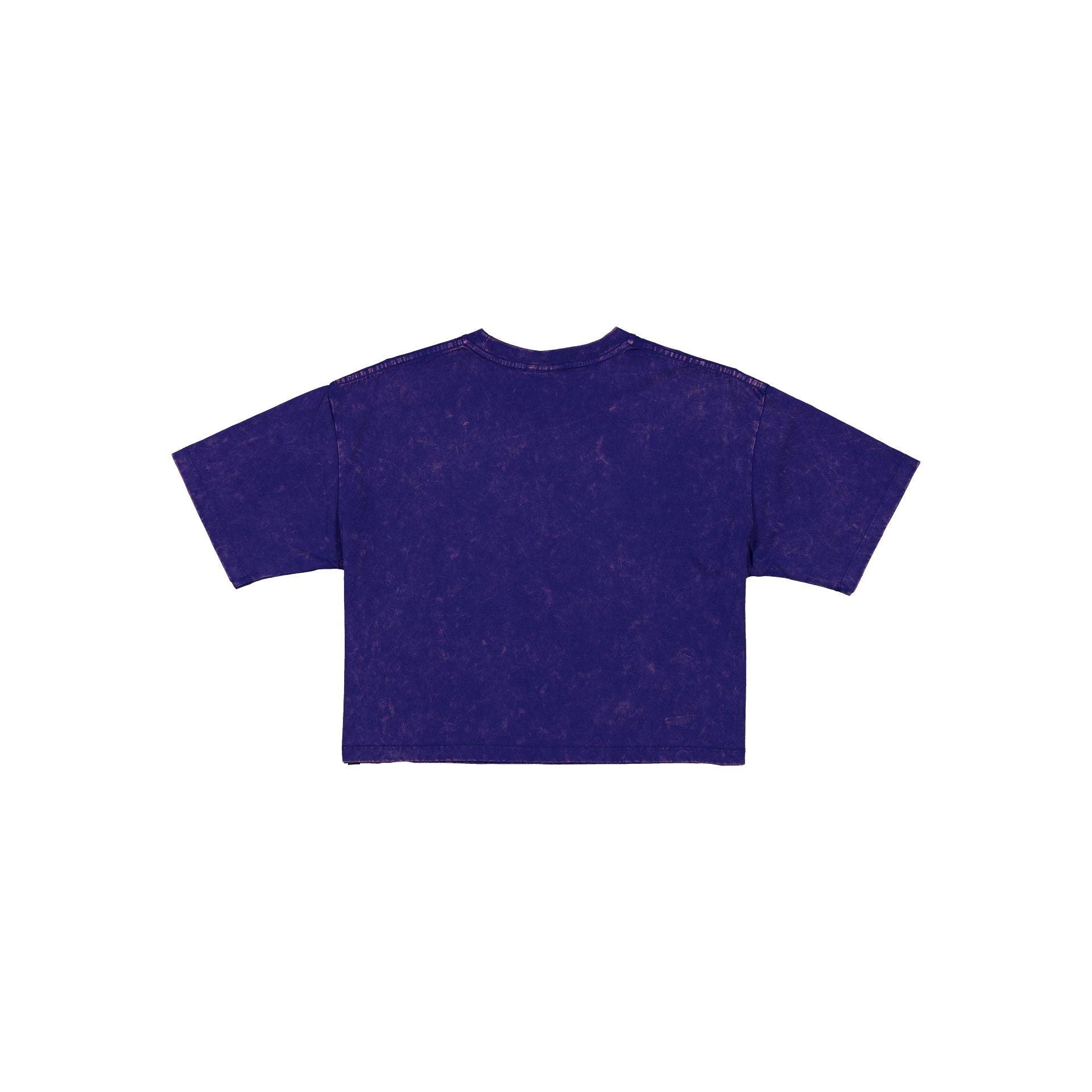 Pittsburgh Steelers Sport Classics Women's Cropped T-Shirt Female Product Image