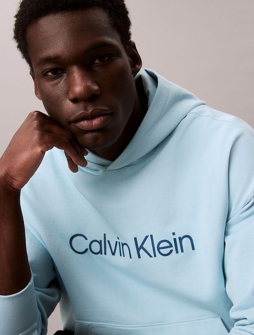 Standard Logo Terry Hoodie Product Image