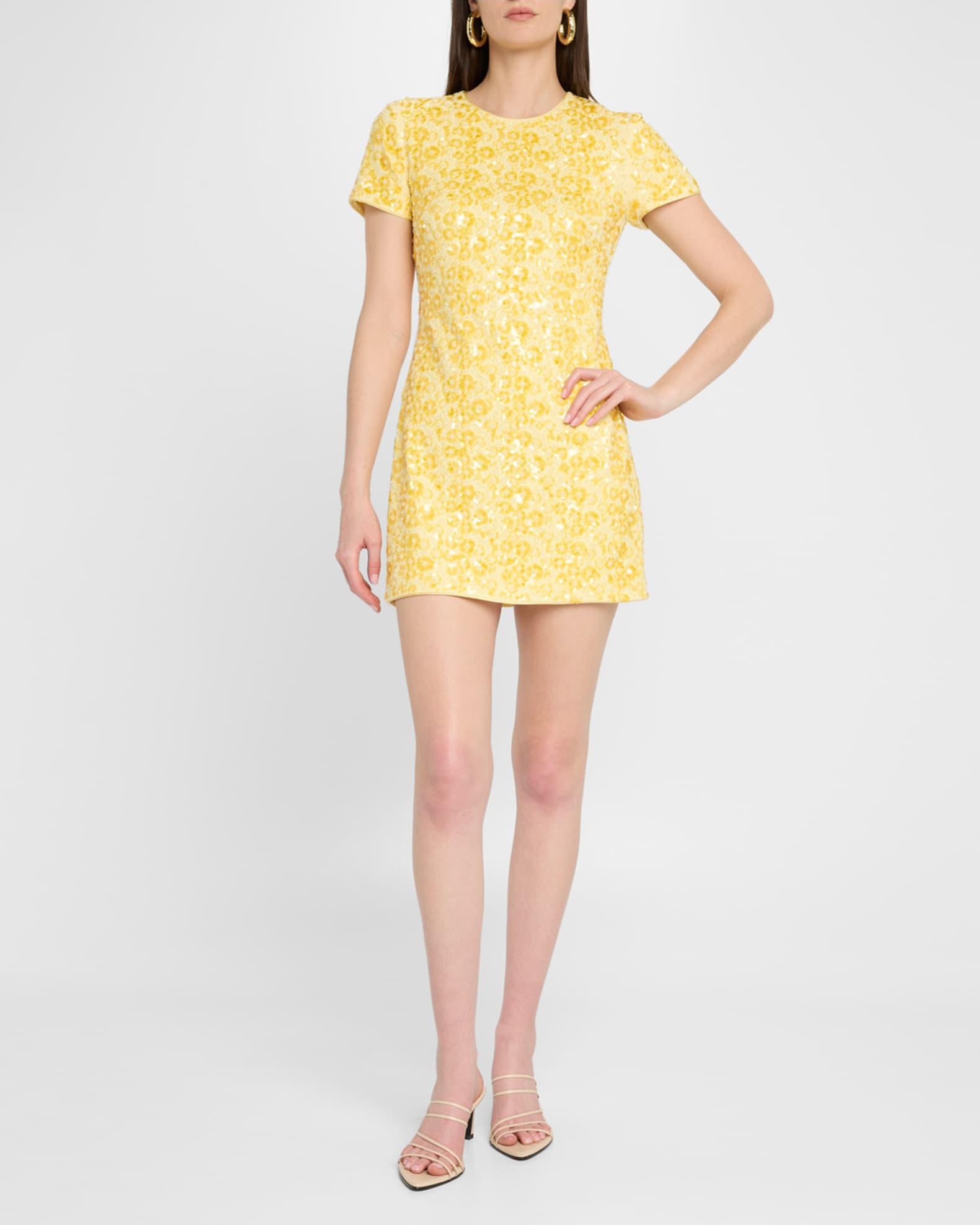 Clove Bead & Sequin Mini Dress Product Image