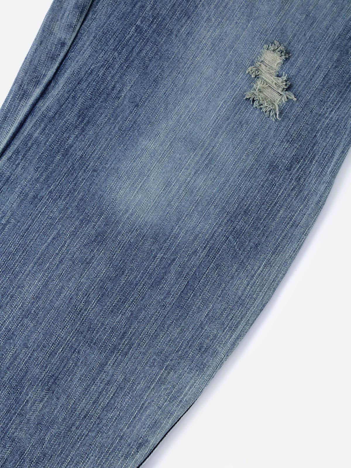 Aelfric Eden Flower Embroidery Jeans Product Image