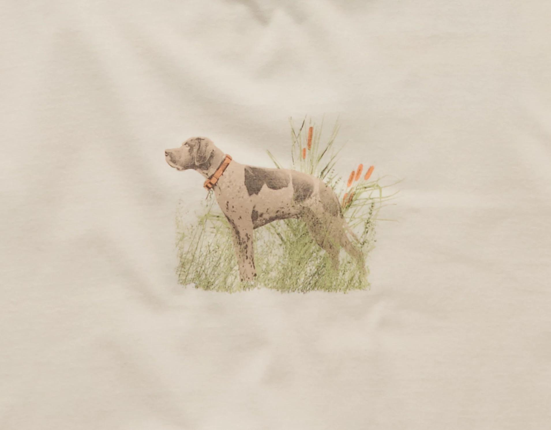 AE Logo Graphic T-Shirt Product Image