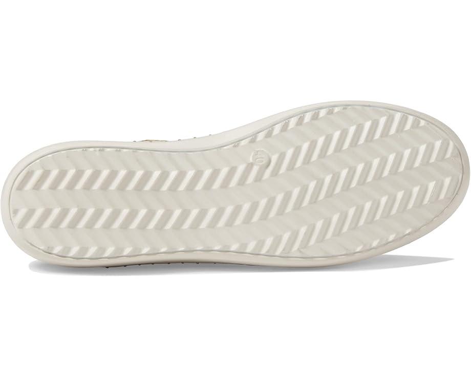 Picasa Product Image