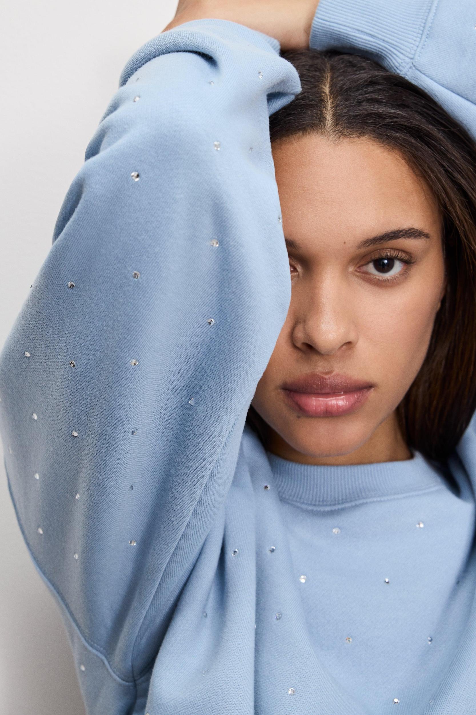 CRYSTAL CREWNECK SWEATSHIRT | WINTER SKY001 Product Image