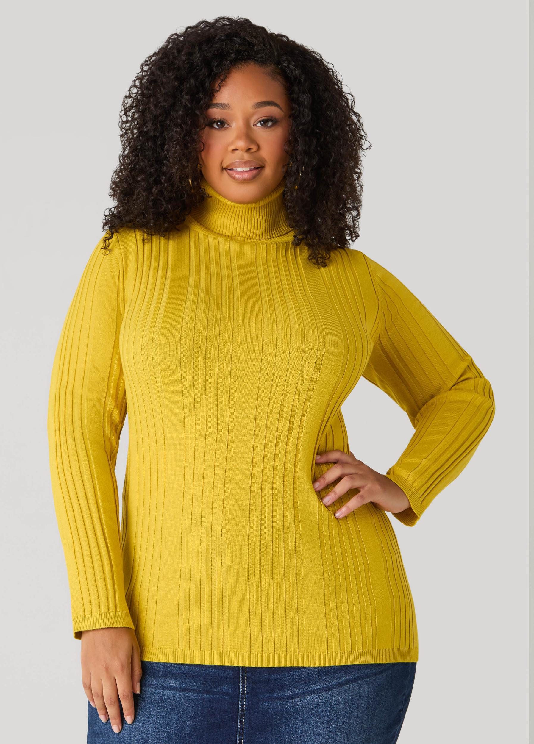 Pullover Turtleneck Sweater Product Image