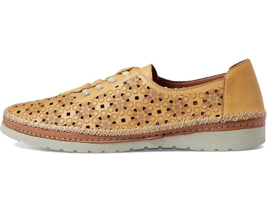 Picasa Product Image