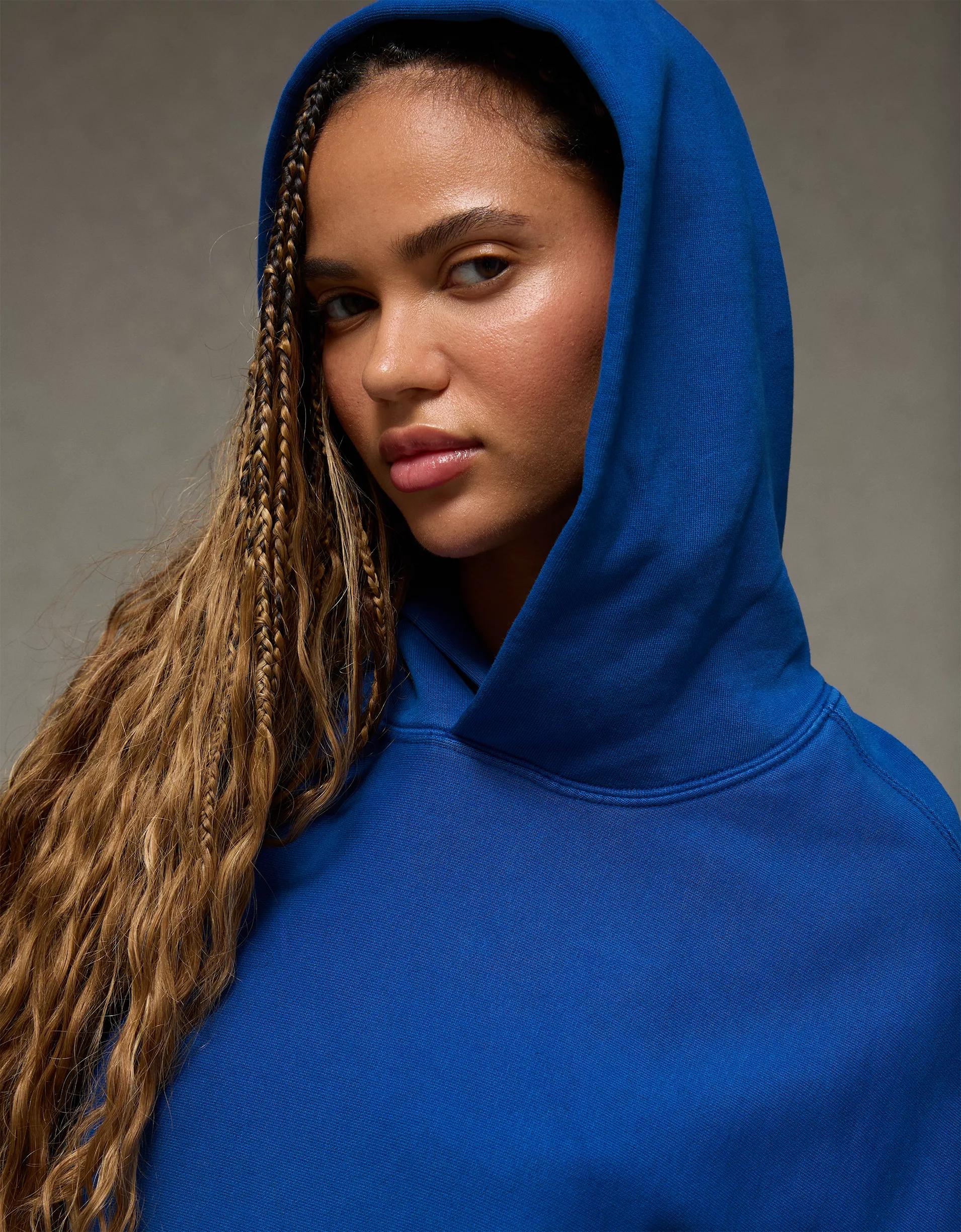 AE Laidback Luxe Heavyweight Hoodie Product Image