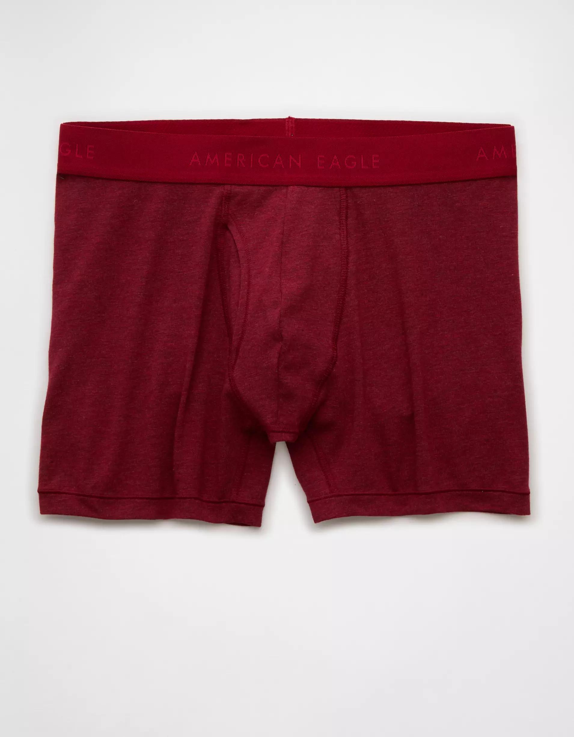 AEO Men's 4.5" Classic Boxer Brief Product Image