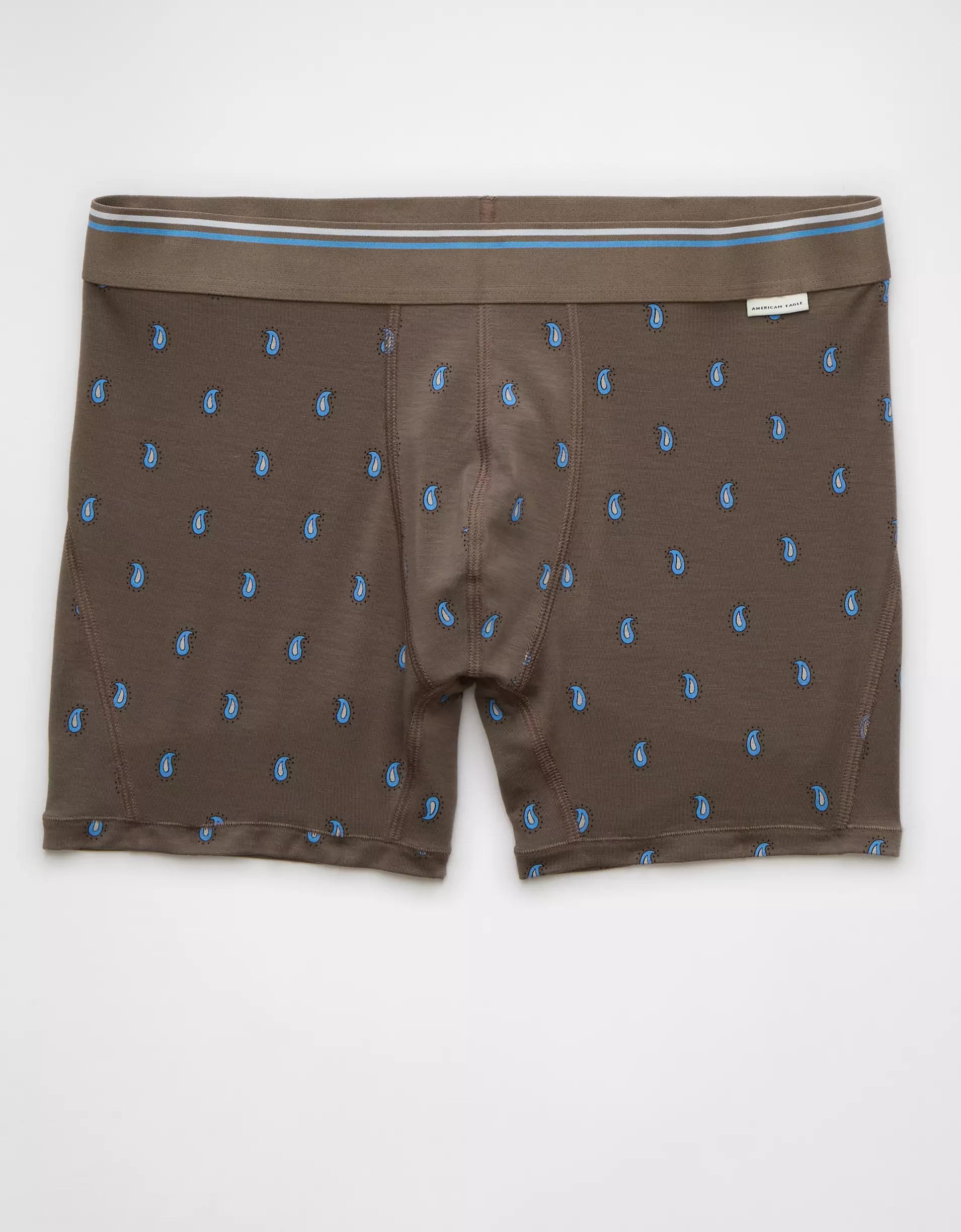 AEO Men's Paisley 4.5" Ultra Soft Boxer Brief Product Image