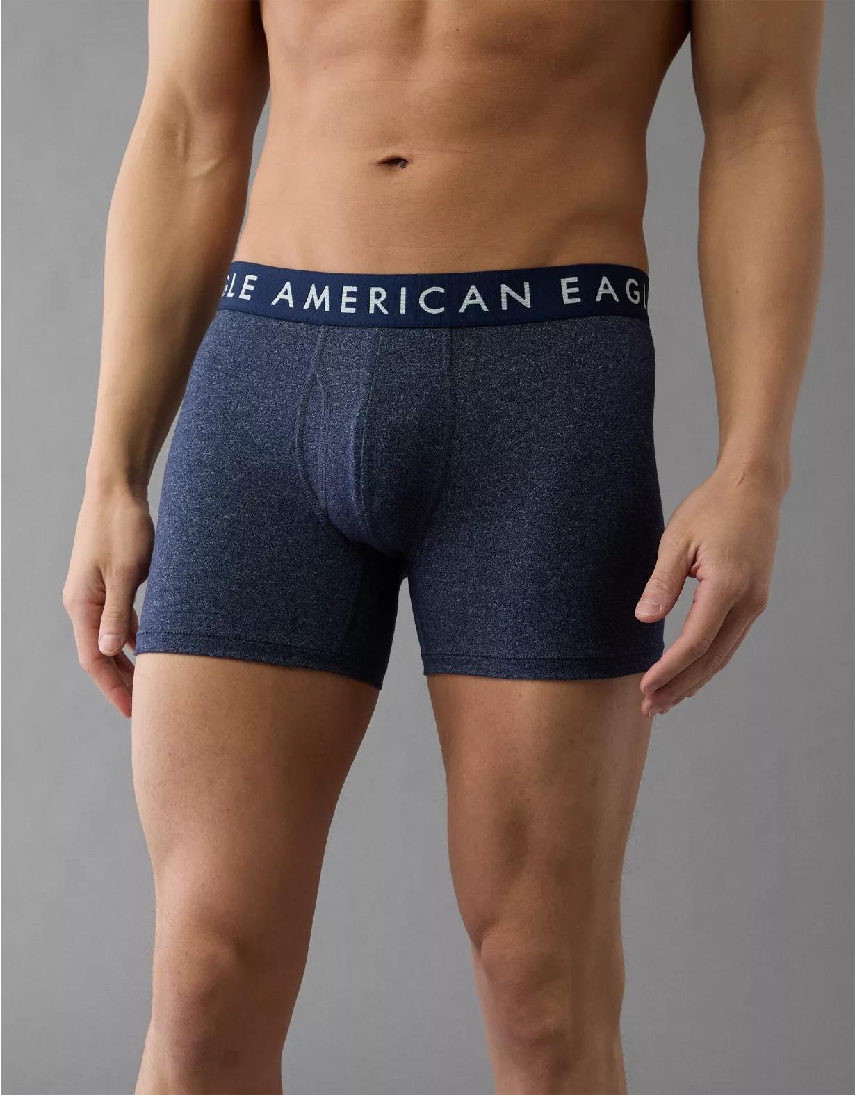 AEO Men's 4.5" Classic Boxer Brief Product Image