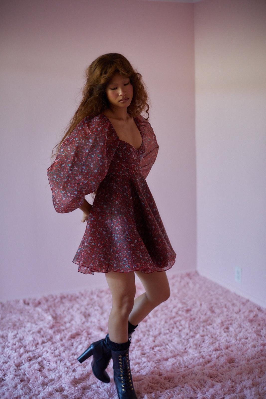 The Crimson Princess Dress Product Image