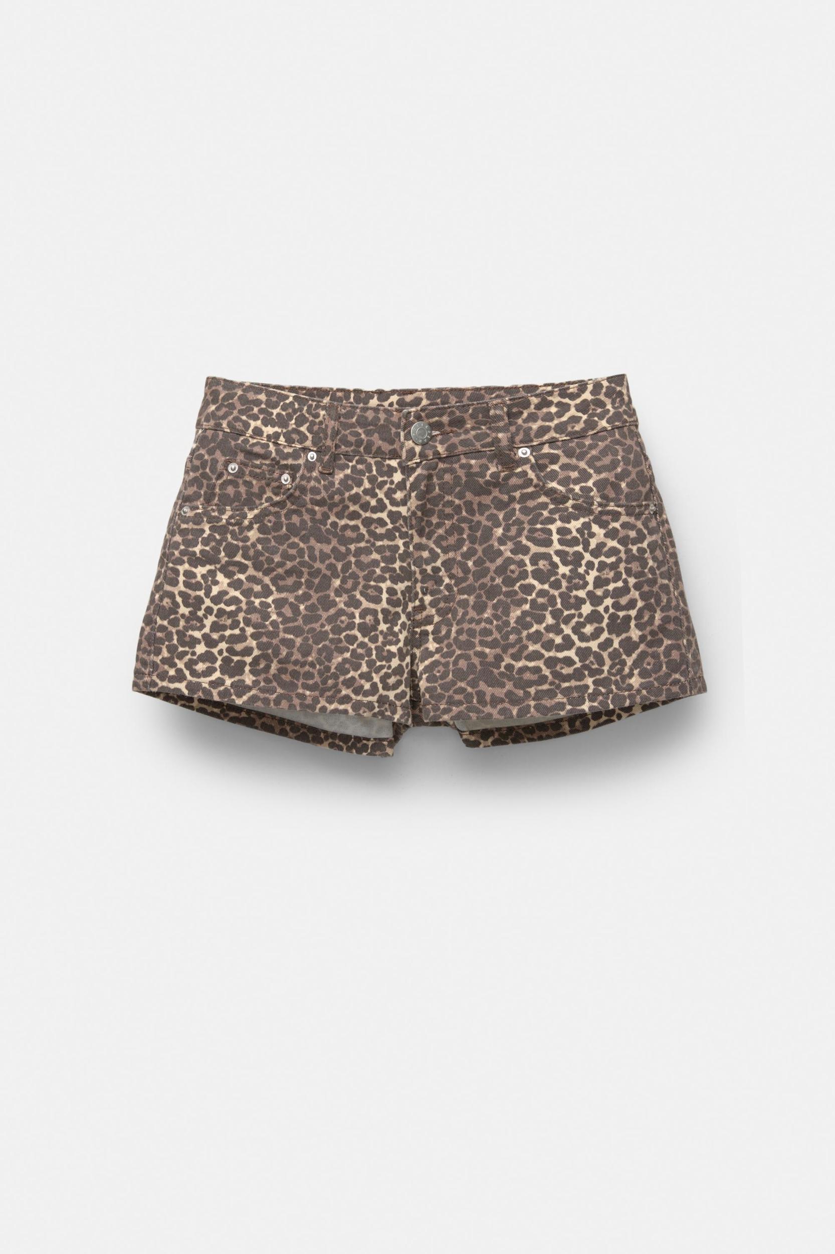 Leopard print studded shorts Product Image