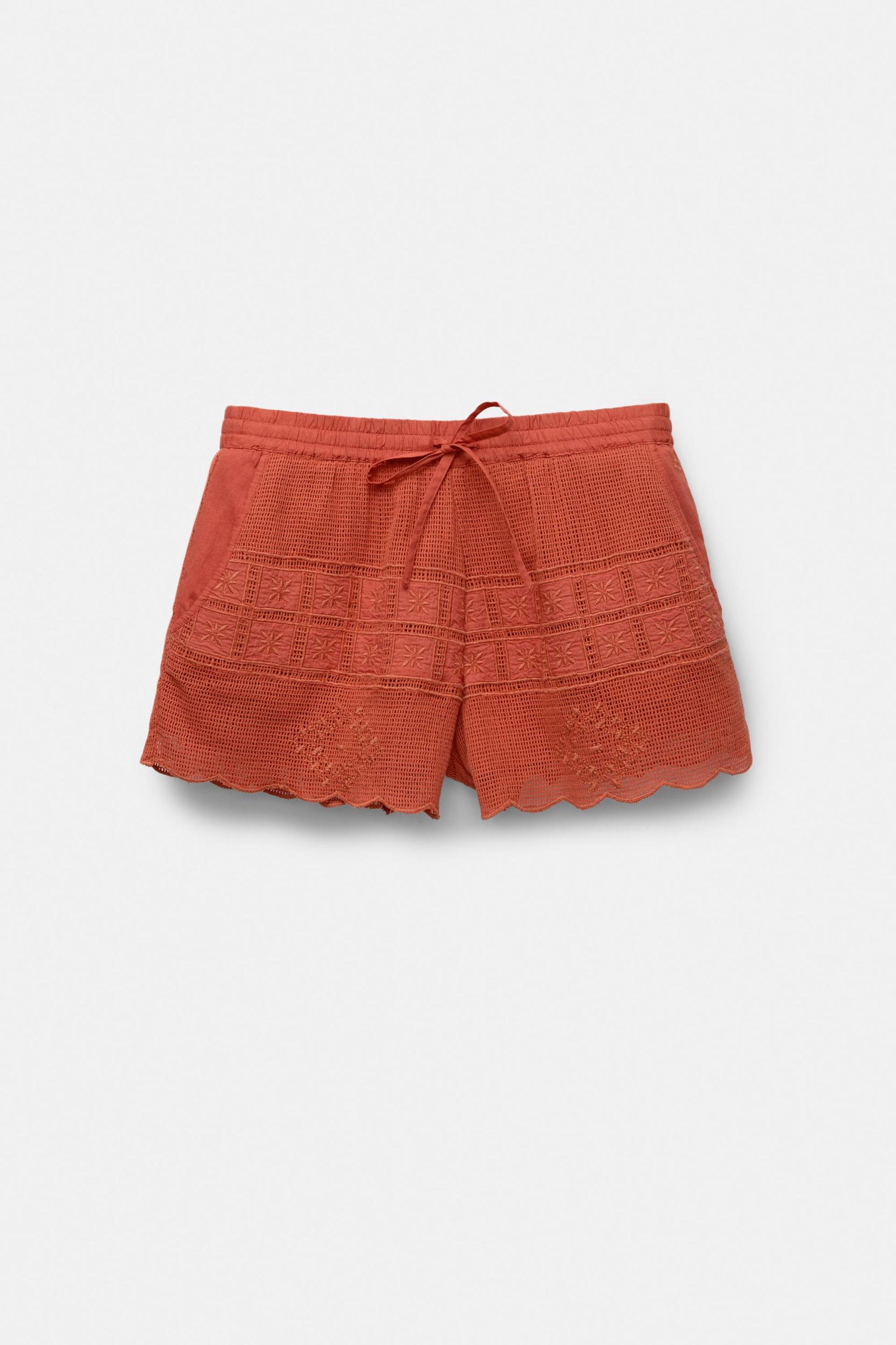 Embroidered knit shorts Product Image