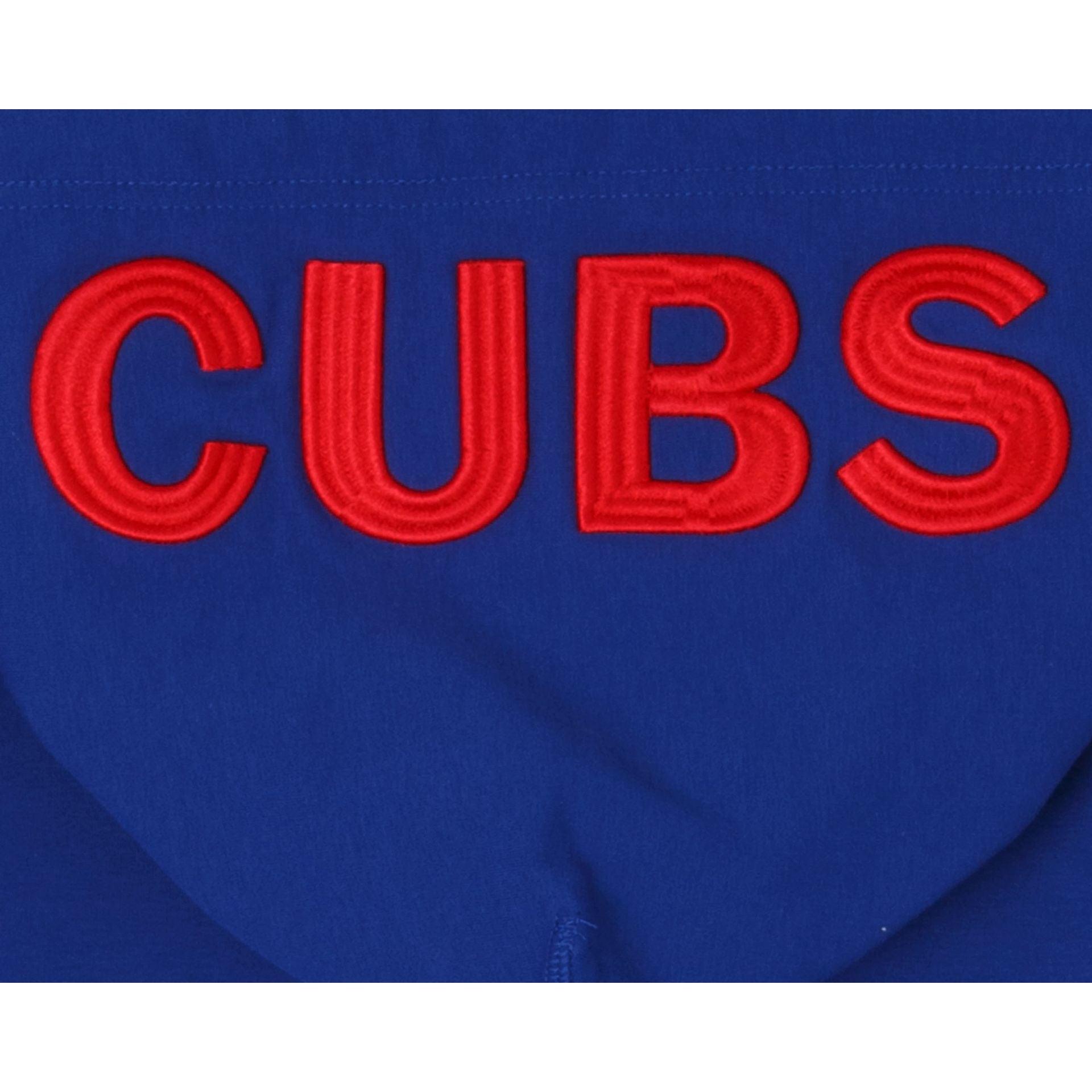 Houston Astros Logo Select Hoodie Male Product Image