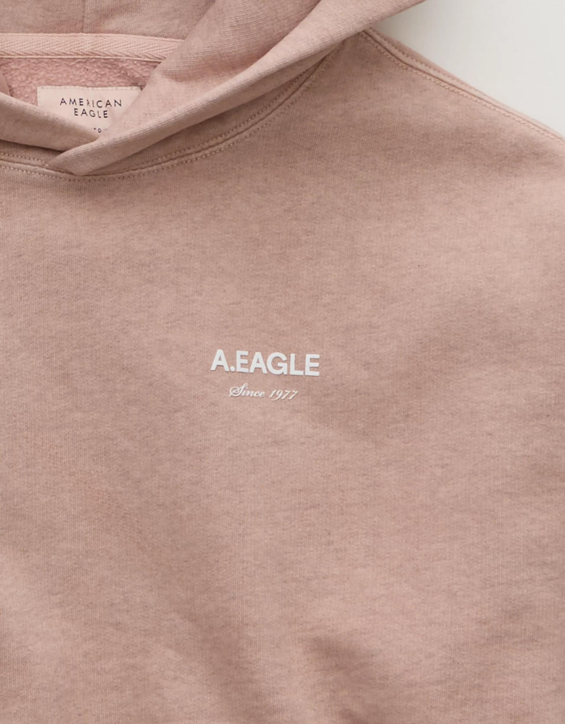 AE Laidback Luxe Heavyweight Logo Hoodie Product Image