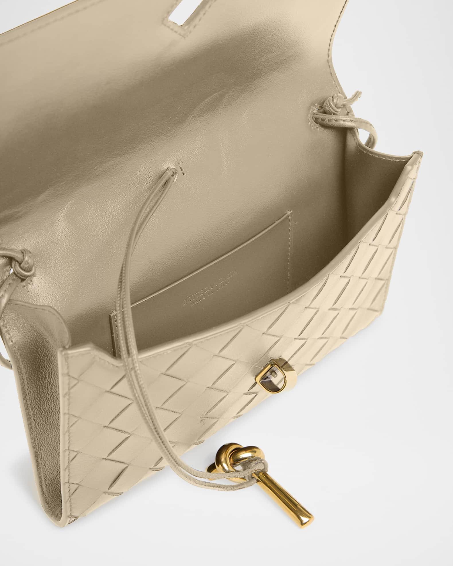 Andiamo Metallic Leather Pouch Bag Product Image