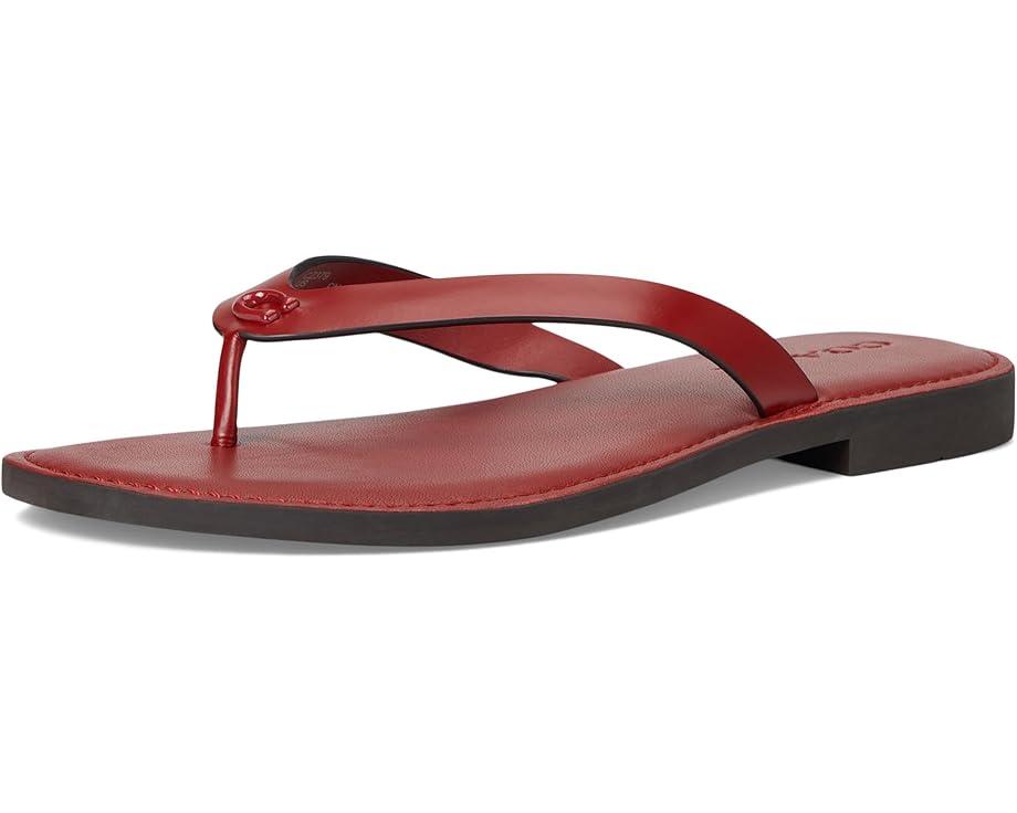 Capri Wrap Up Sandals Product Image