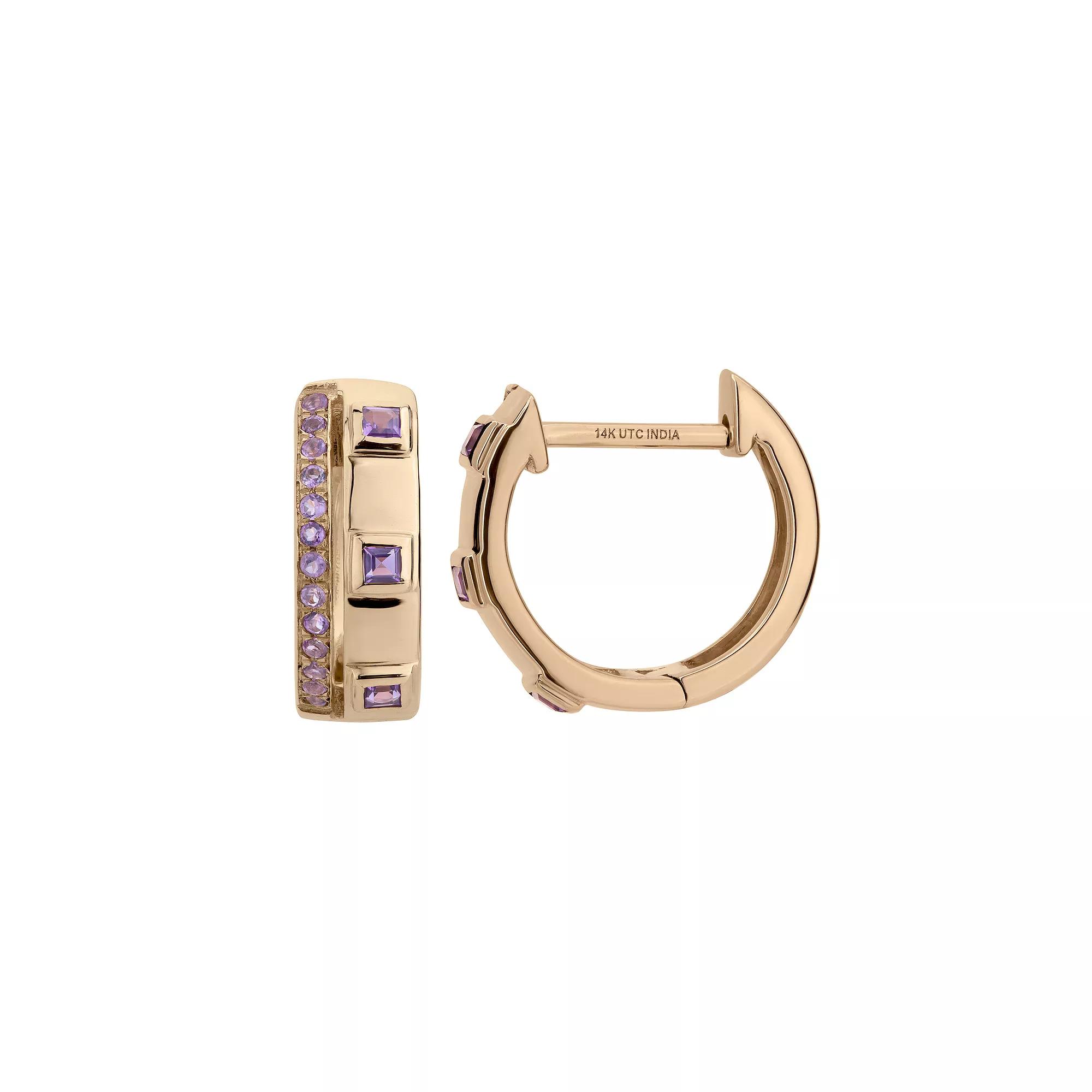 Gemistry 14k Gold Amethyst Hinged Hoop Earrings, Women's Product Image