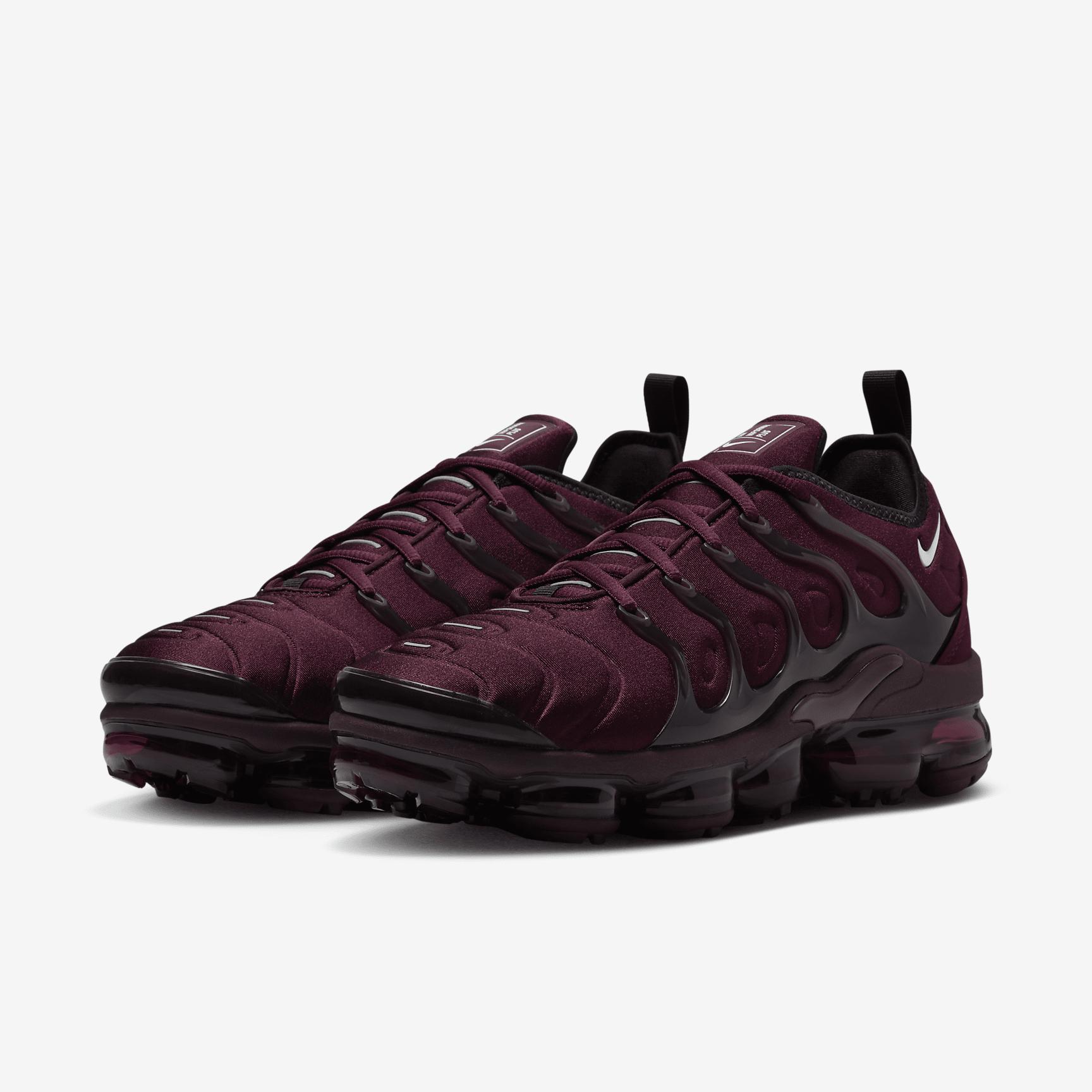 Nike Mens Air VaporMax Plus Shoes | FN6850-681 Product Image