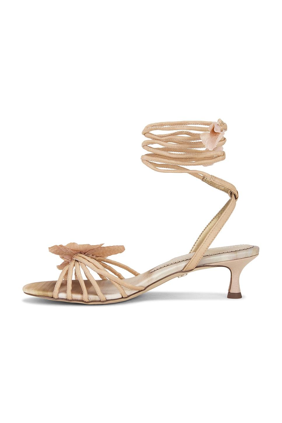 Carla Sandal Sam Edelman Product Image