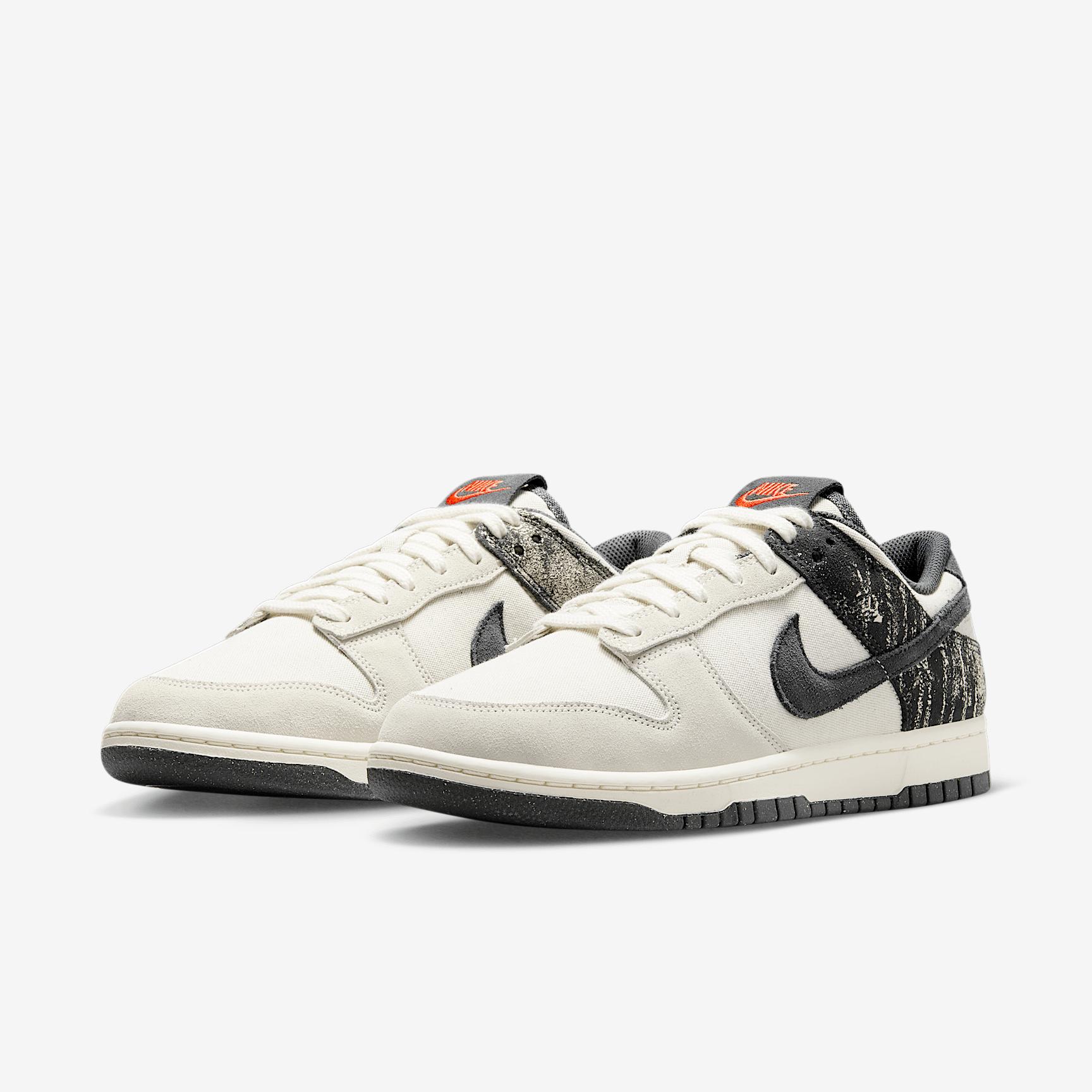 Nike Mens Dunk Low Retro SE Shoes | IB6399-002 Product Image