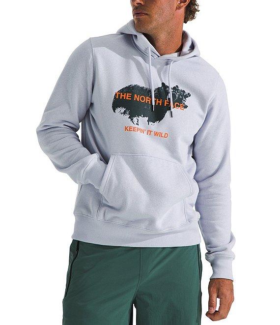 The North Face Animals We Love Bear Graphic Hoodie Product Image