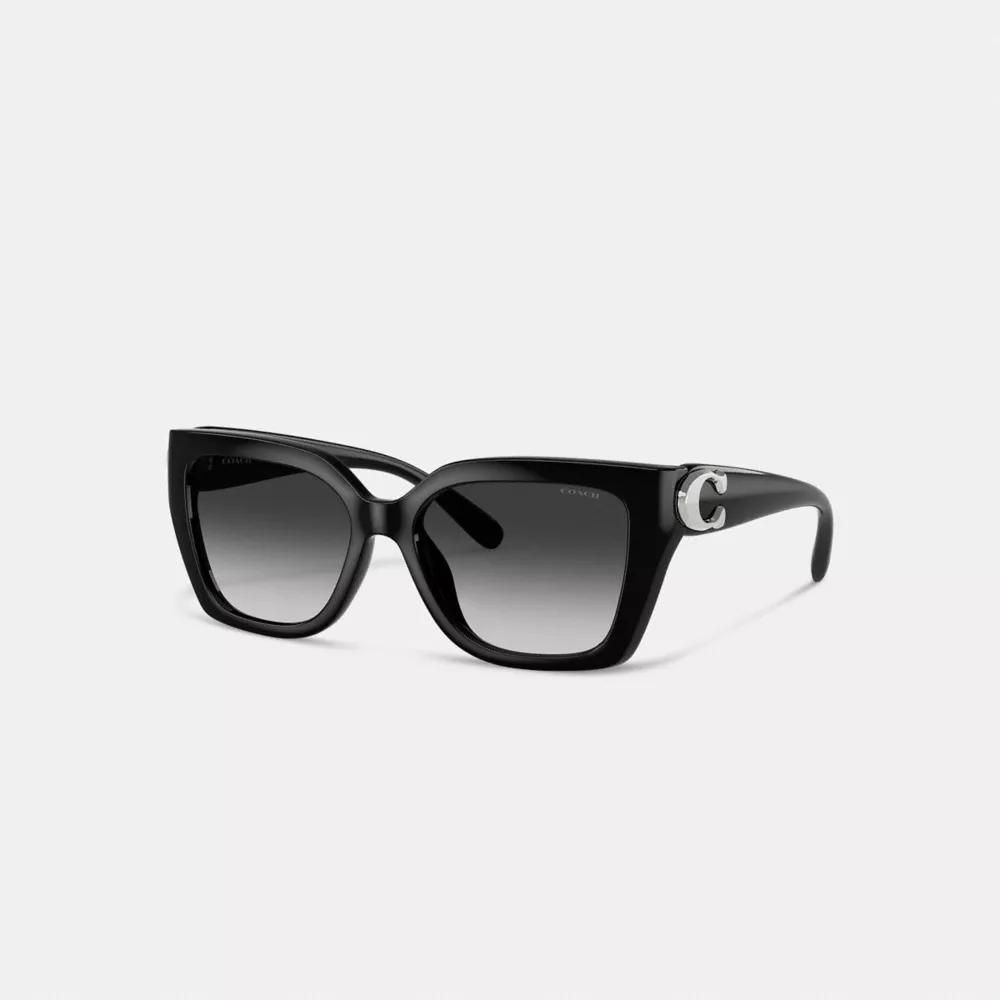 Maxi Sculpted C Square Cat Eye Sunglasses Product Image