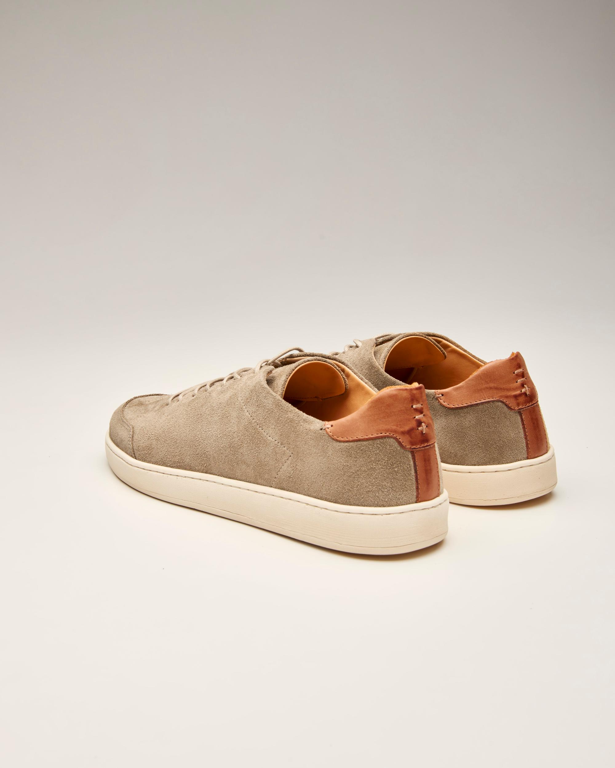 Suede Terra Low Sneaker Product Image