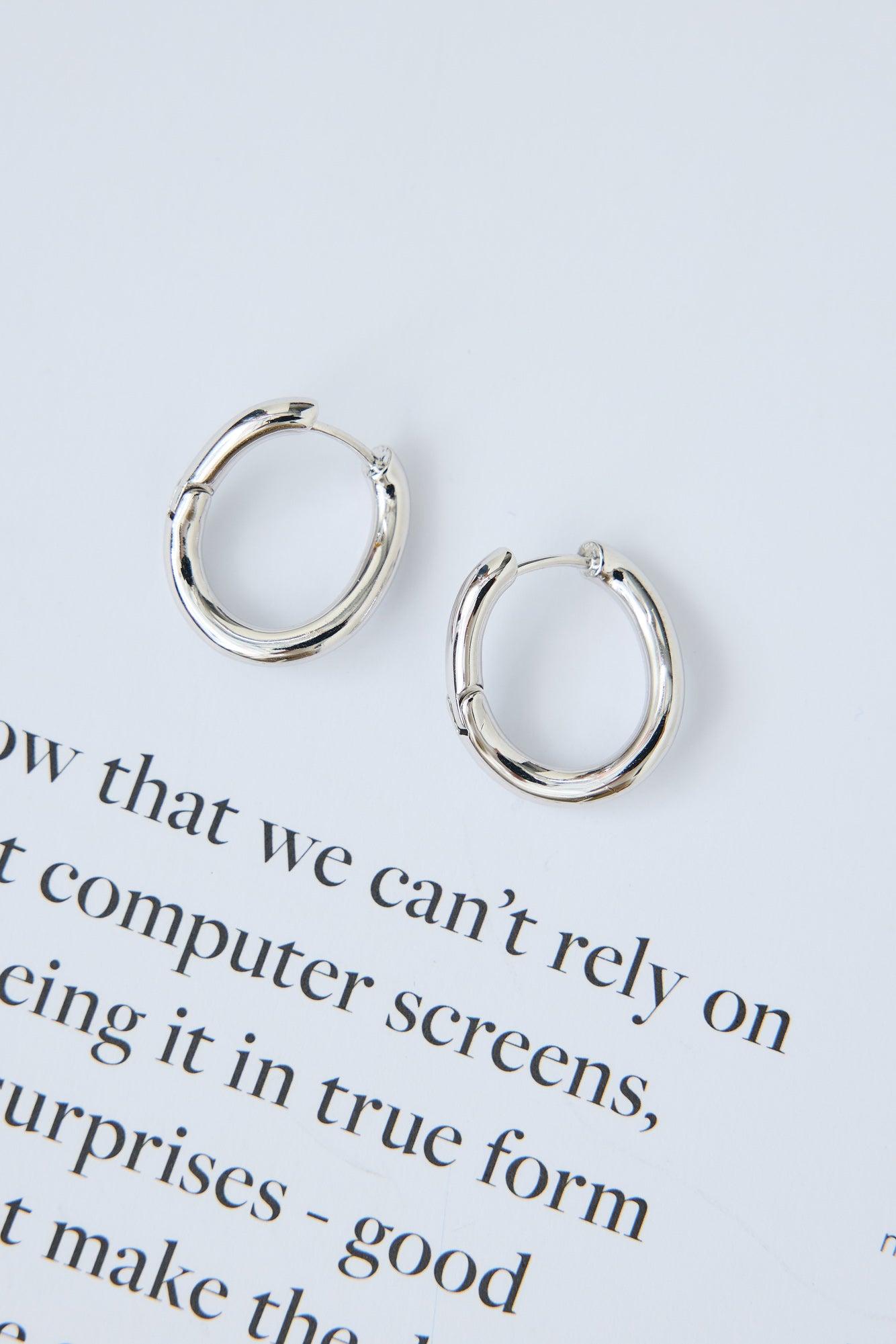 Chicest Earrings Silver Product Image