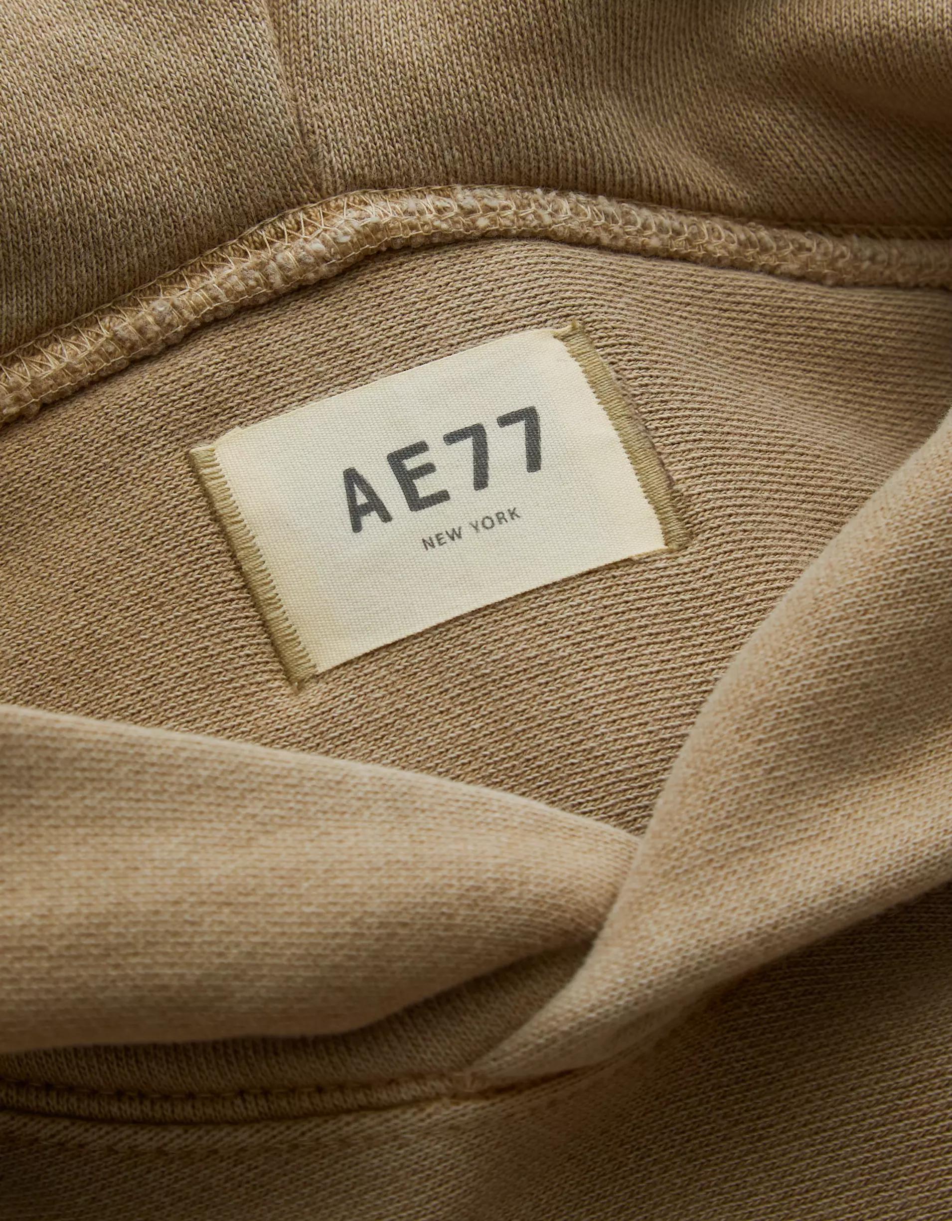 AE77 Premium Fleece Hoodie Product Image