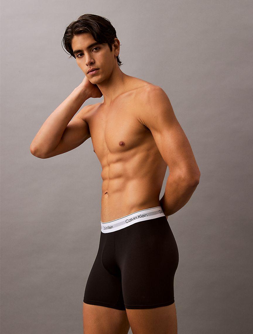 Icon Modal Mesh 3-Pack Boxer Brief Product Image
