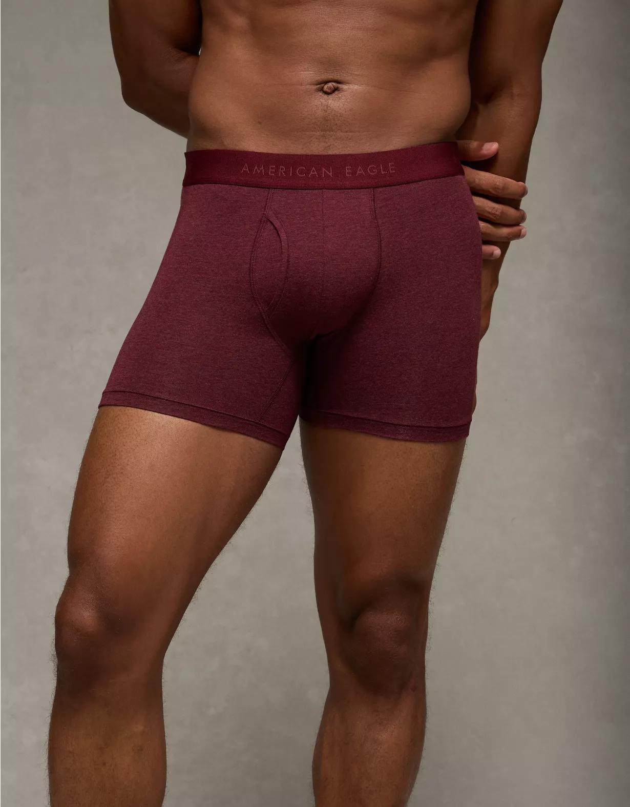 AEO Men's 4.5" Classic Boxer Brief Product Image