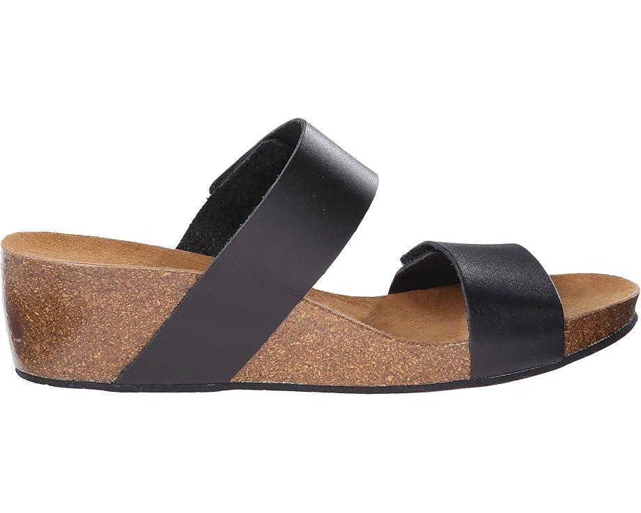 Lily 2 Product Image