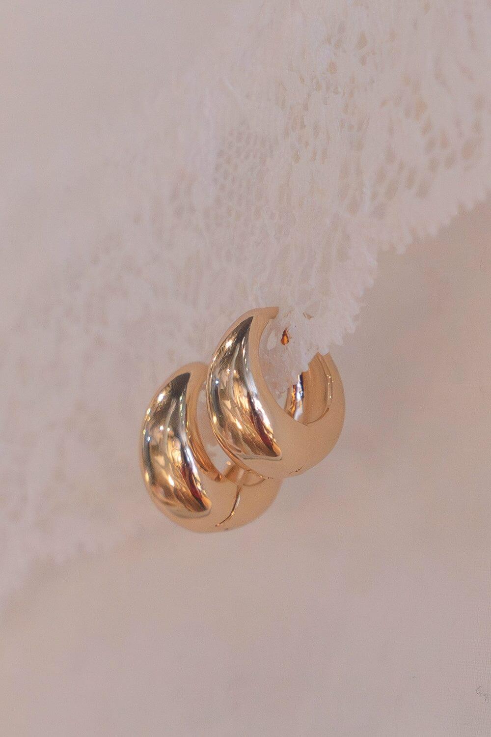 Hoop Earrings Product Image