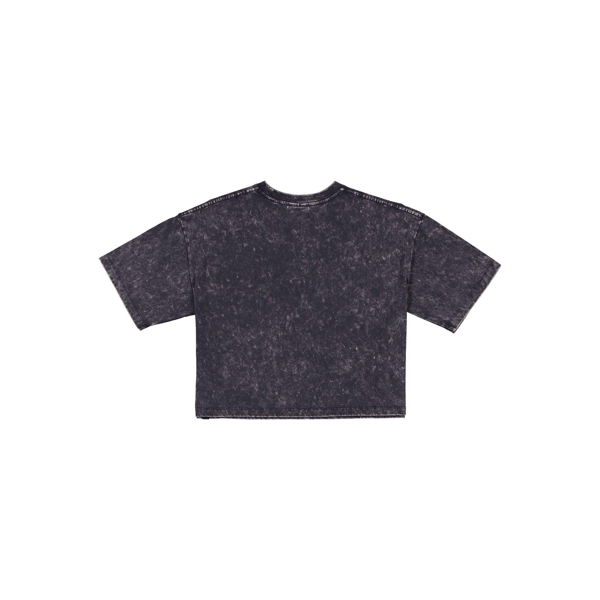 Pittsburgh Steelers Sport Classics Women's Cropped T-Shirt Female Product Image