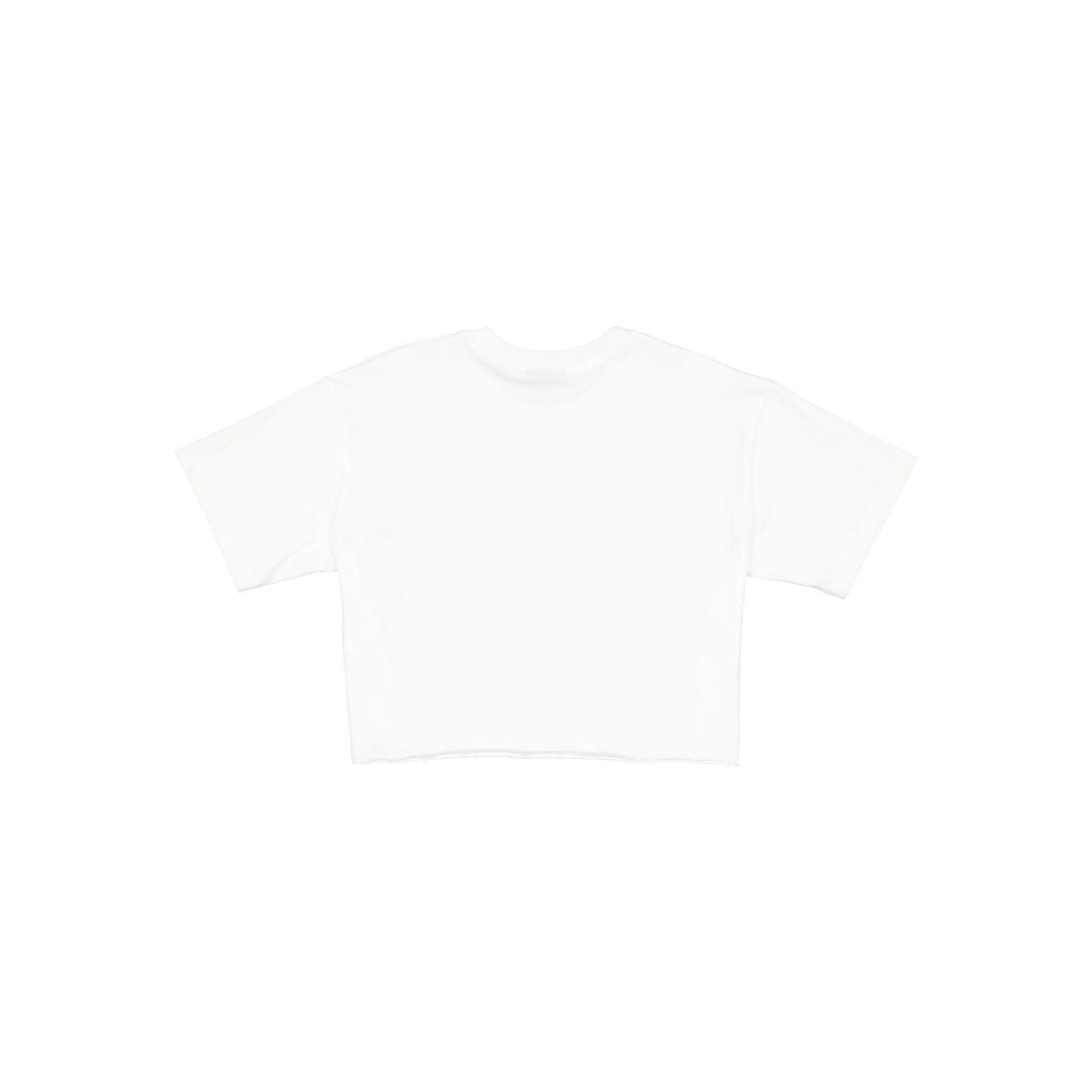 Sacramento Kings Throwback Prep Women's Cropped T-Shirt Female Product Image