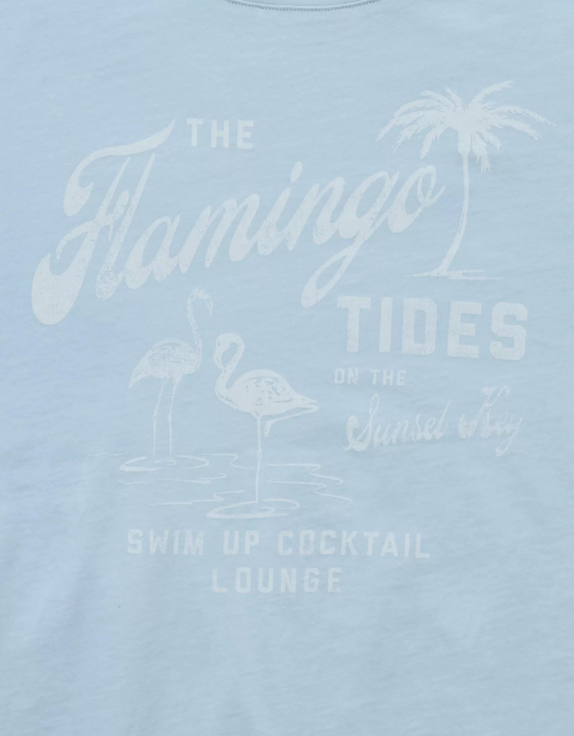 AE Classic Graphic T-Shirt Product Image